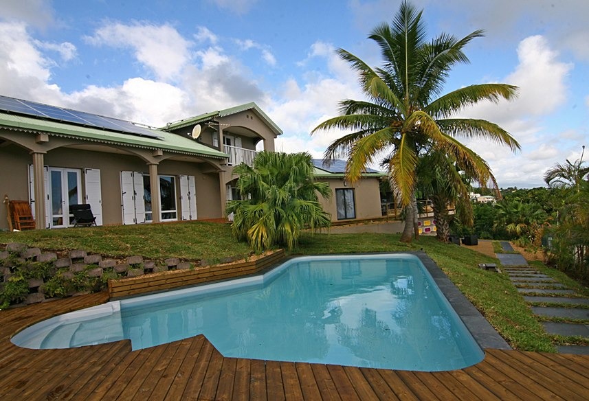 Piscine entre les palmiers